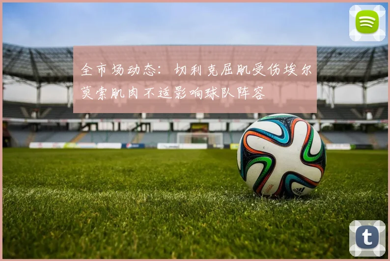 全市场动态：切利克屈肌受伤埃尔莫索肌肉不适影响球队阵容
