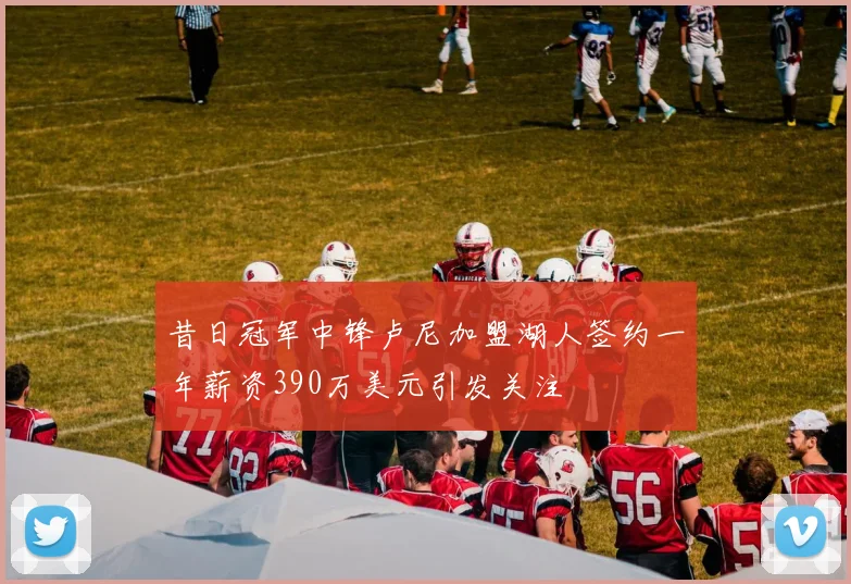 昔日冠军中锋卢尼加盟湖人签约一年薪资390万美元引发关注