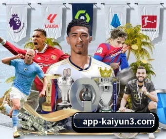 开云体育 APP（kaiyunsports）